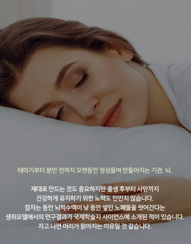 뇌2.jpg
