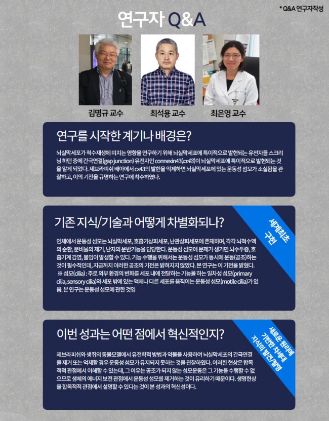 뇌7.jpg