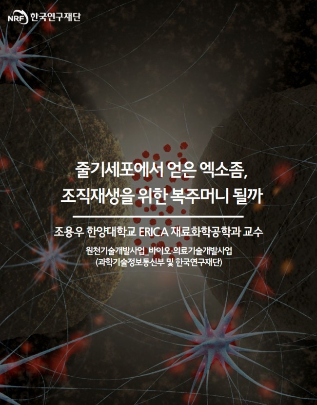 엑소좀1.jpg