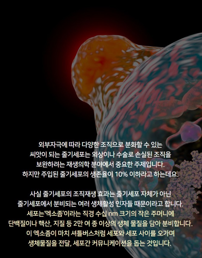 엑소좀2.jpg