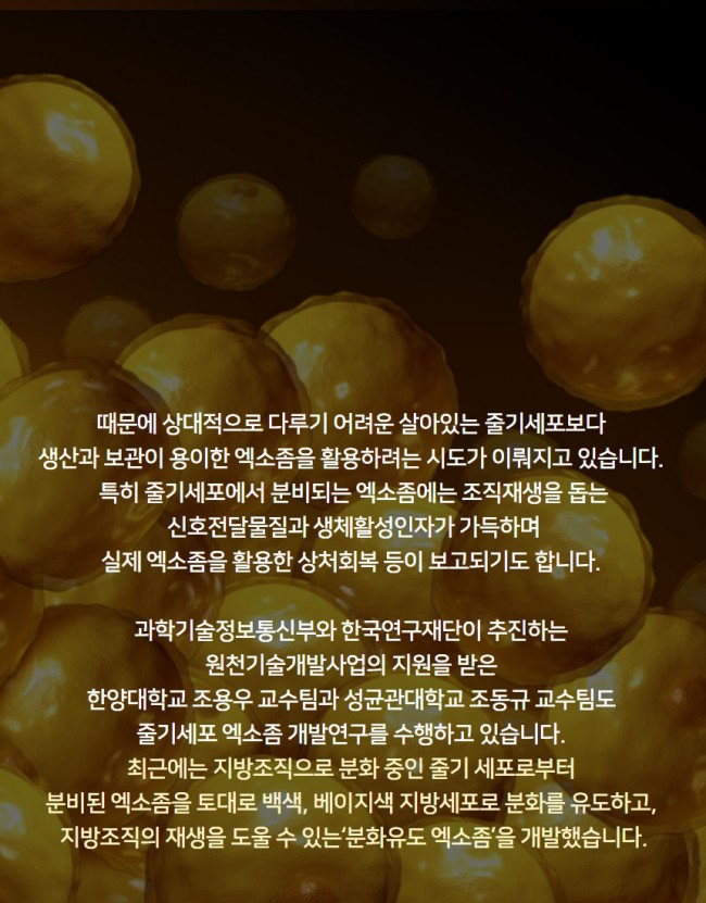 엑소좀3.jpg