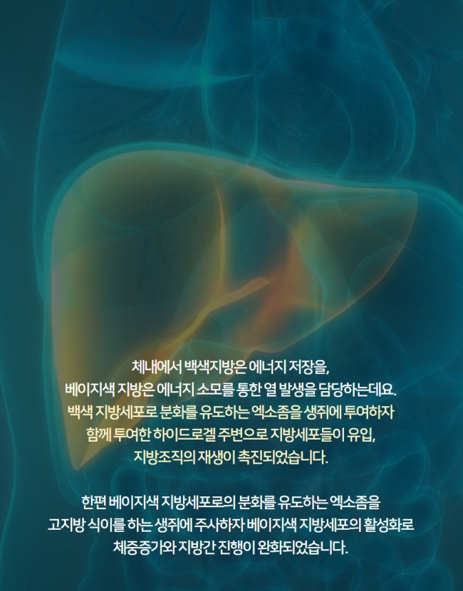 엑소좀4.jpg