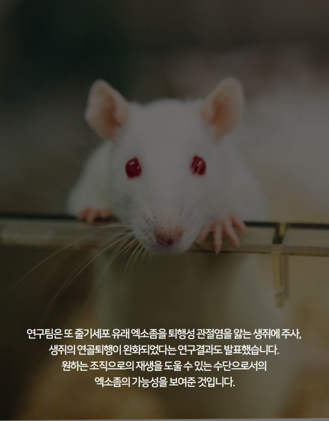 엑소좀5.jpg
