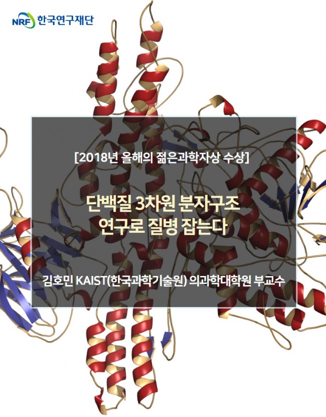 분자구조1.jpg