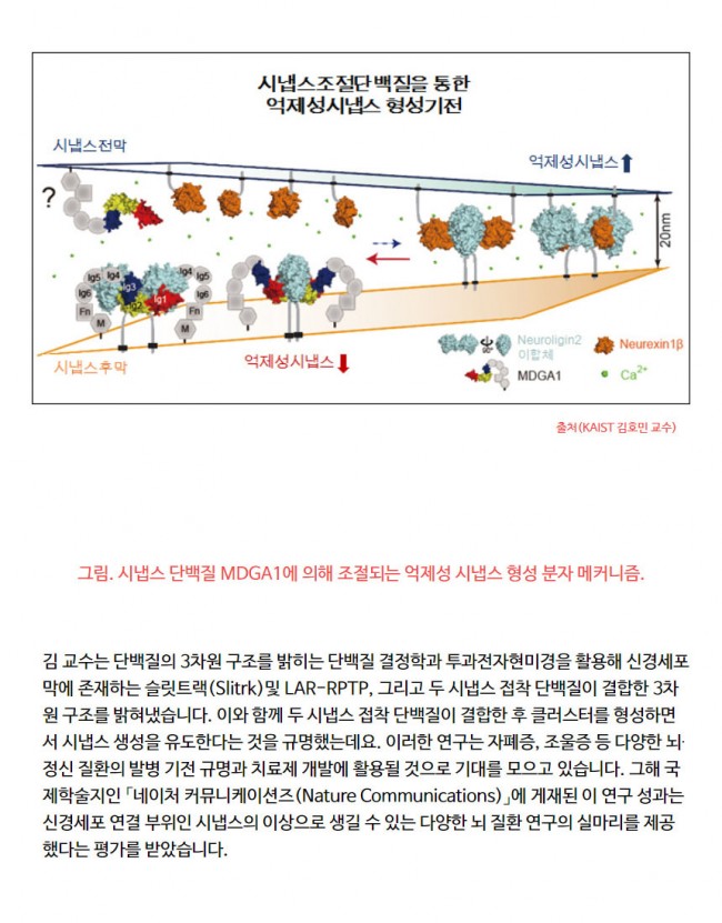분자구조7.jpg