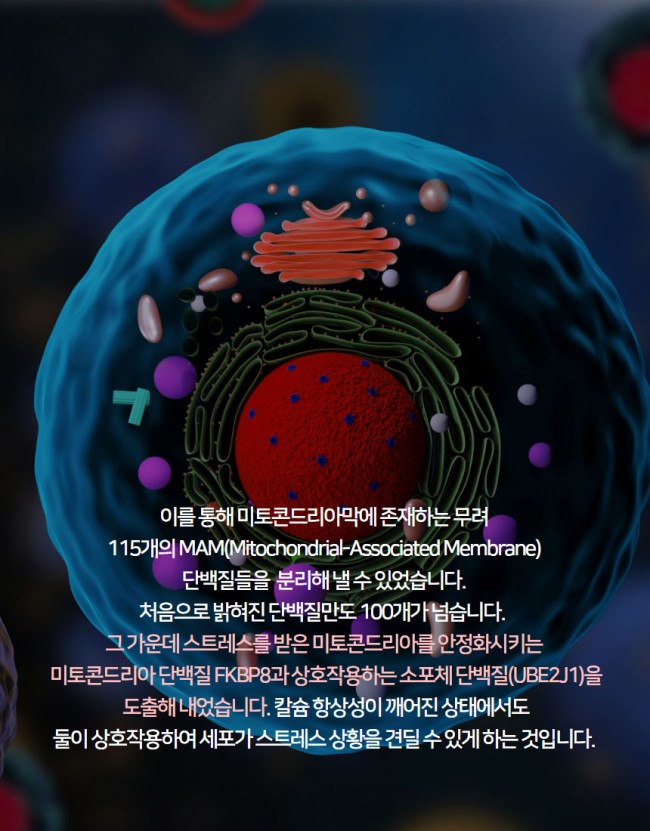 세포5.jpg