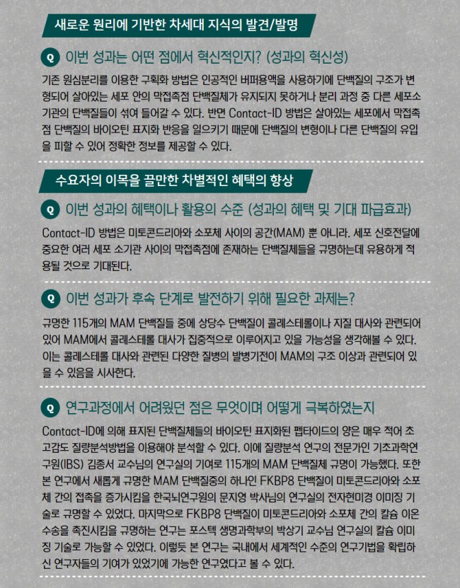 세포8.jpg