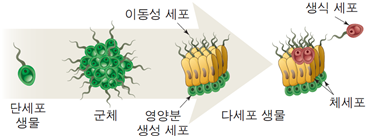 02 지능 4.png