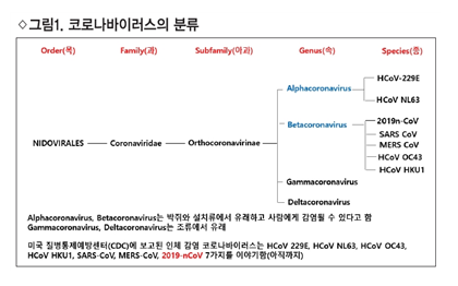 08 바이러스 3.png