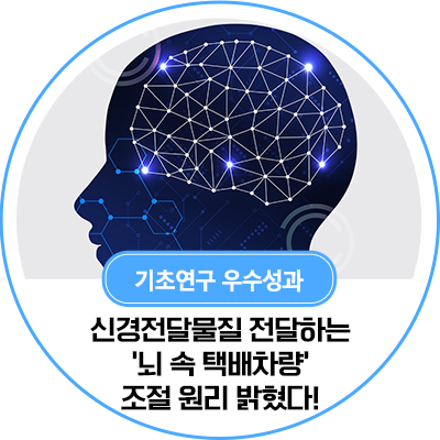 09 신경 전달 물질 1.png