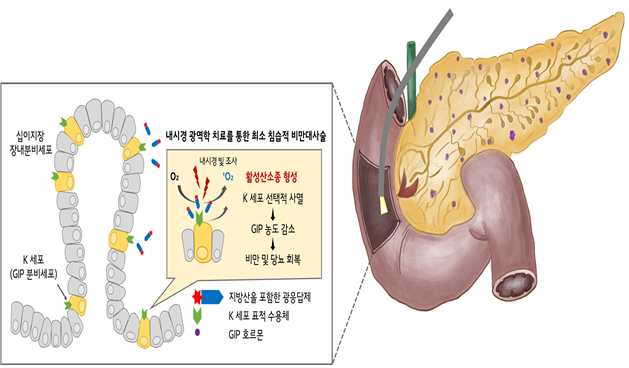 10 빛을 1.png