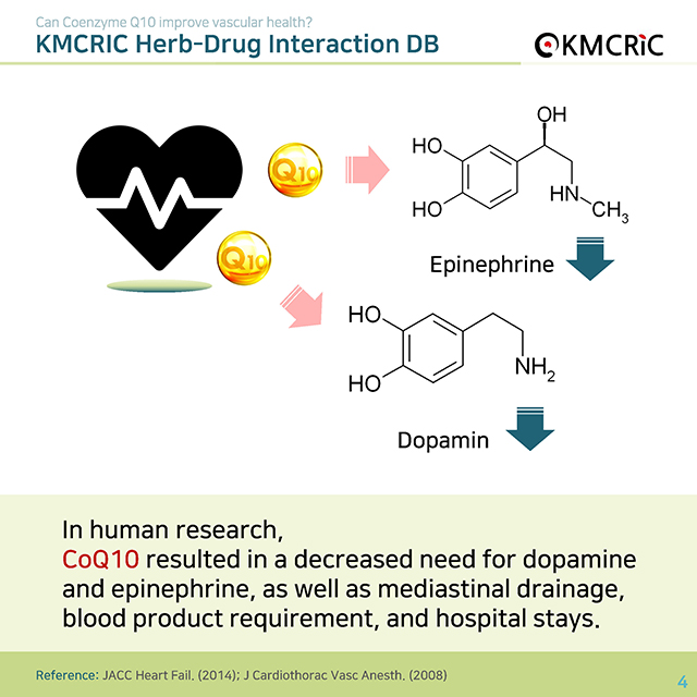0008 cardnews-약물상호작용 코엔자임 Q10, 혈관 건강에 도움이 될까-영어_1차수정_페이지_4.jpg