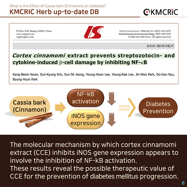 0011 cardnews-생약 up-to-date 시나몬이라 불리는 육계의 당뇨병에 대한 효과는-영어_1차수정_페이지_6.jpg