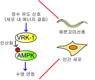 동향분석 1192-img-03.png