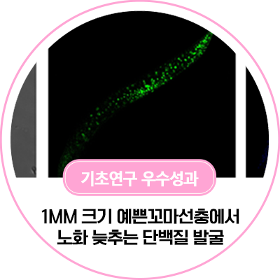 동향분석 1192-img-04.png