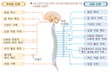 동향분석 1196-img-02.png