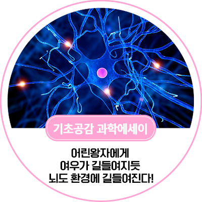 동향분석 1197-img-04.png