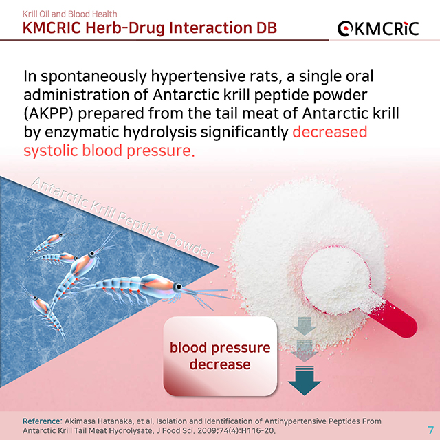 0009 cardnews-약물상호작용 크릴오일과 혈액 건강-영어_페이지_07.jpg