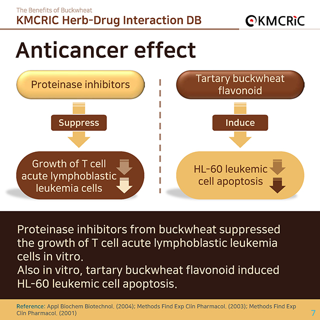 0016 cardnews-약물상호작용 메밀의 효능-영어_페이지_07.jpg