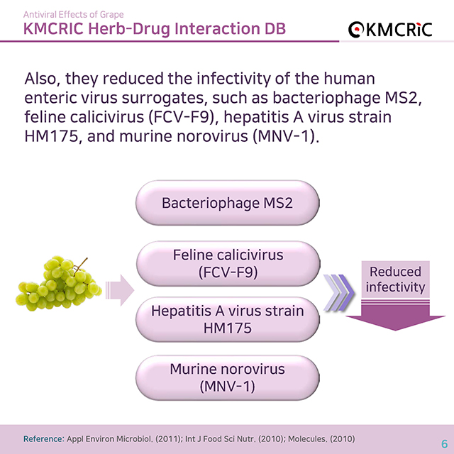 0015 cardnews-약물상호작용 포도의 항바이러스 효과-영어_페이지_6.jpg