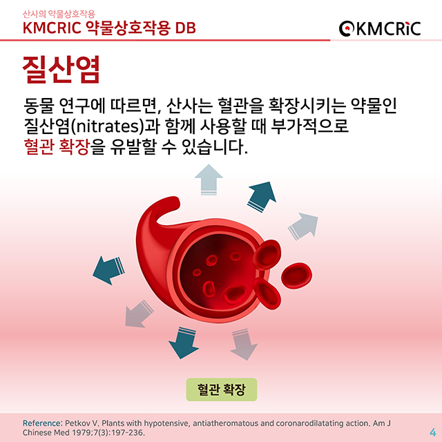 0019 cardnews-약물상호작용 산사의 약물상호작용-한글_페이지_04.jpg