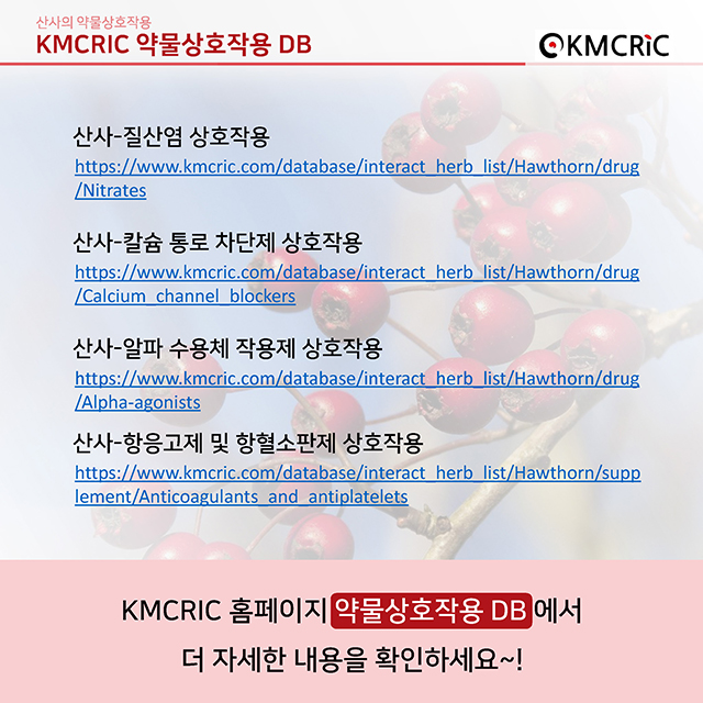 0019 cardnews-약물상호작용 산사의 약물상호작용-한글_페이지_09.jpg