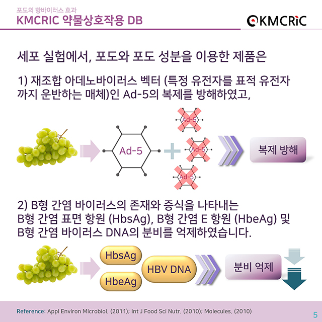 0015 cardnews-약물상호작용 포도의 항바이러스 효과-한글_페이지_5.jpg