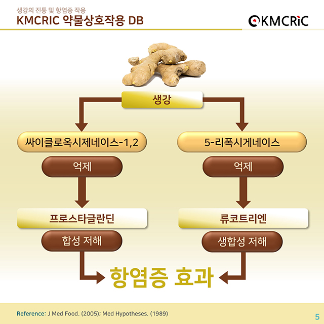 0023 cardnews-약물상호작용 생강의 진통 및 항염증 작용-한글_페이지_05.jpg