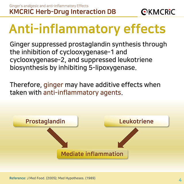 0023 cardnews-약물상호작용 생강의 진통 및 항염증 작용-영어_페이지_04.jpg
