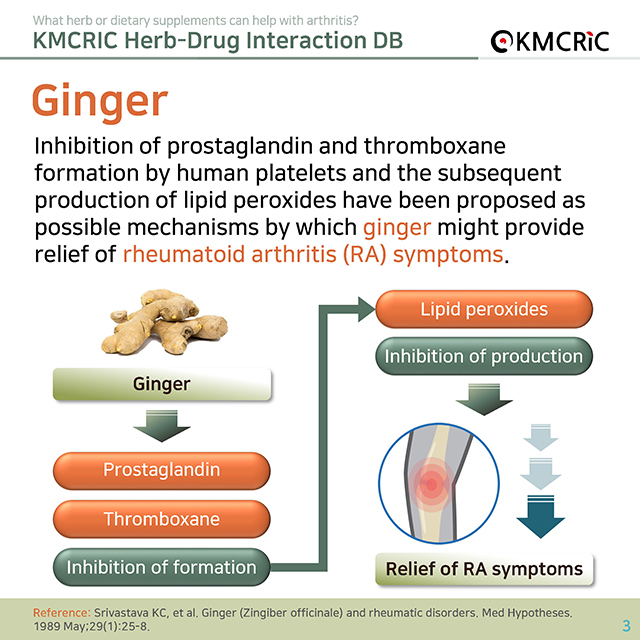 0024 cardnews-약물상호작용 관절염에 도움이 되는 허브 및 식이보충제-영어_페이지_3.jpg