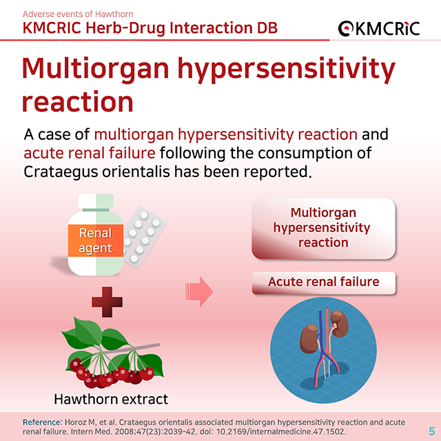 0020 cardnews-약물상호작용 산사 열매의 부작용-영어_페이지_05.jpg