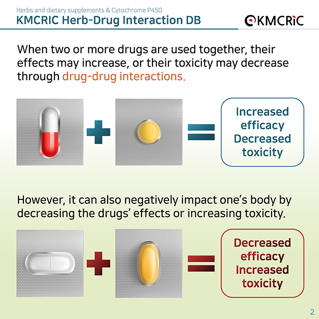 0025 cardnews-약물상호작용 허브 및 식이보충제와 시토크롬 P450-영어_페이지_02.jpg
