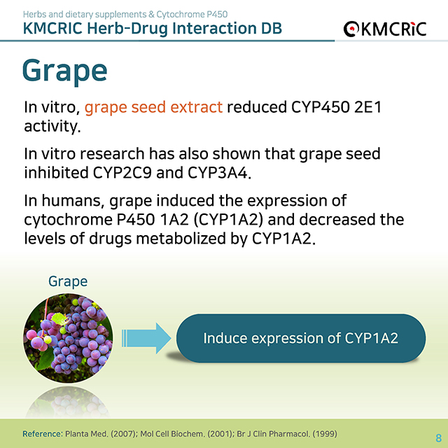 0025 cardnews-약물상호작용 허브 및 식이보충제와 시토크롬 P450-영어_페이지_08.jpg