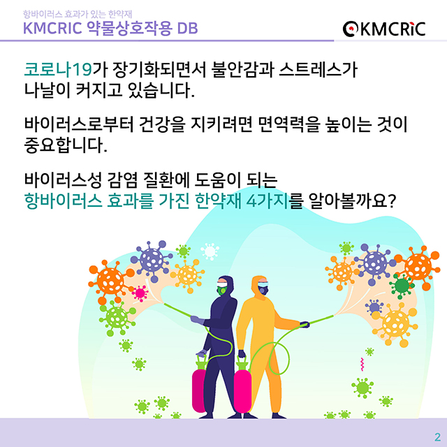 0029 cardnews-약물상호작용 항바이러스 효과가 있는 한약재-한글_페이지_02.jpg