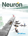 Neuron cover_120.jpg