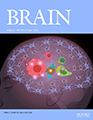 m_brain_144_4cover_120.jpg