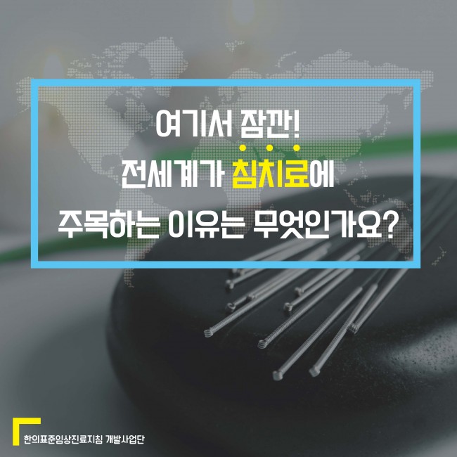 카드뉴스 견비통_페이지_04.jpg