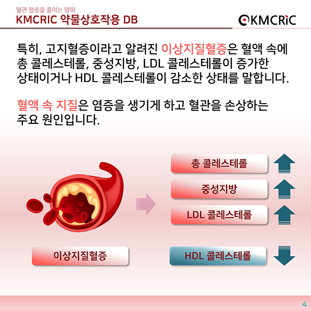 0039 cardnews-약물상호작용 혈관 염증을 줄이는 양파-한글_페이지_04.jpg