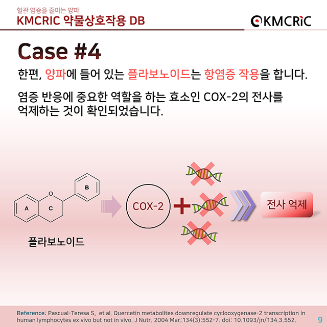 0039 cardnews-약물상호작용 혈관 염증을 줄이는 양파-한글_페이지_09.jpg