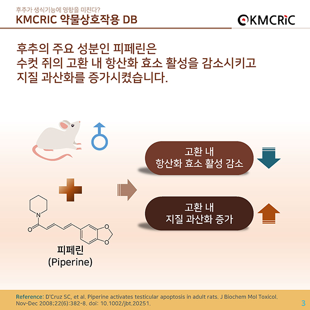 0038 cardnews-약물상호작용 후추가 생식기능에 영향을 미친다-한글_페이지_3.jpg