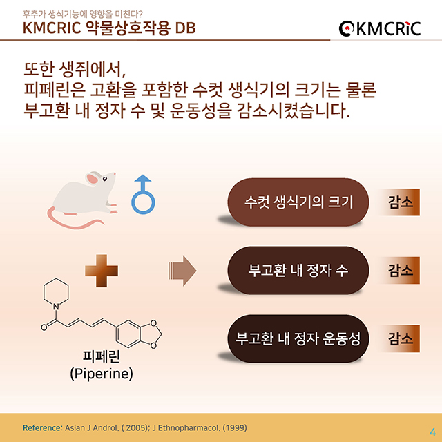 0038 cardnews-약물상호작용 후추가 생식기능에 영향을 미친다-한글_페이지_4.jpg