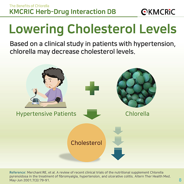 0036 cardnews-약물상호작용 클로렐라의 효능-영어_페이지_08.jpg
