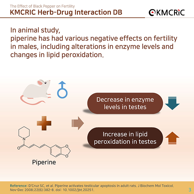 0038 cardnews-약물상호작용 후추가 생식기능에 영향을 미친다-영어_페이지_3.jpg