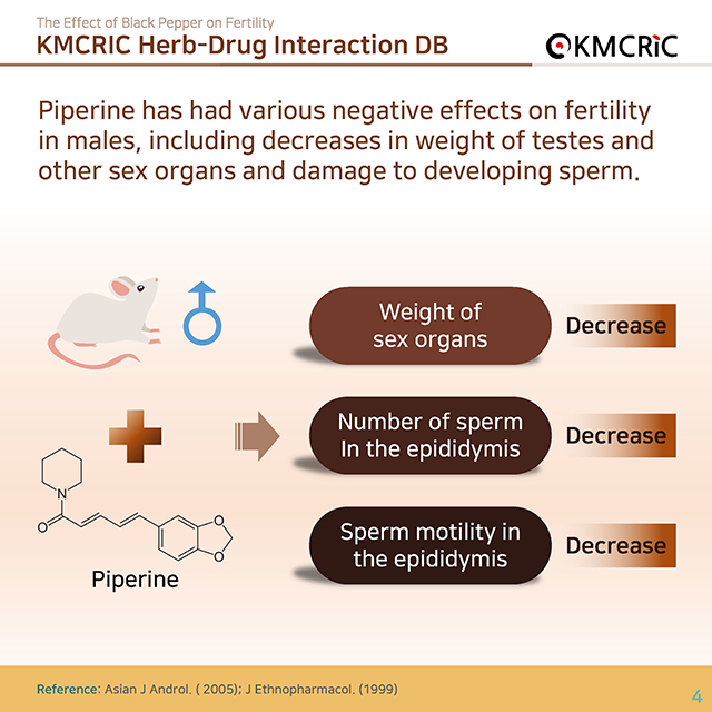 0038 cardnews-약물상호작용 후추가 생식기능에 영향을 미친다-영어_페이지_4.jpg