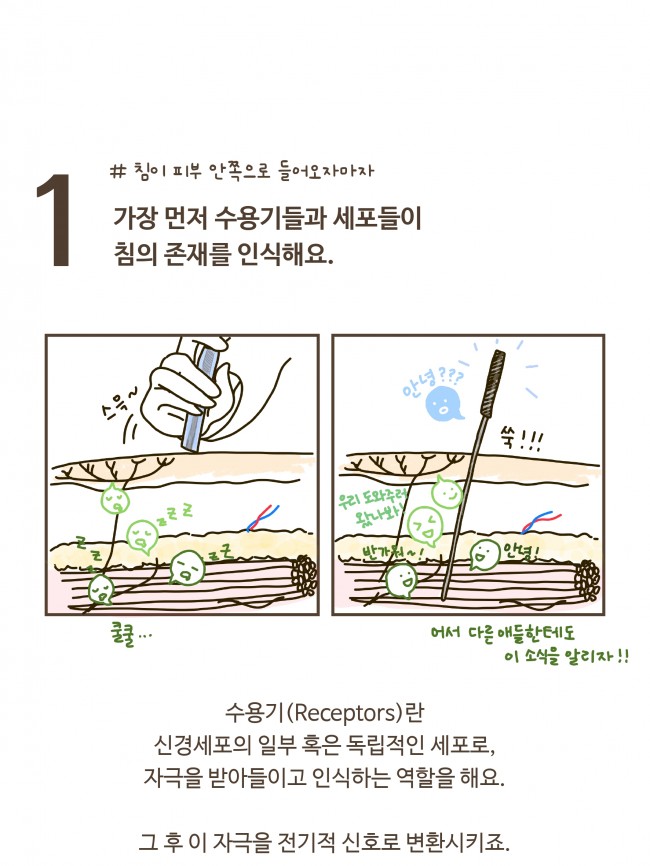 침술의 기전 1편_page-0007.jpg