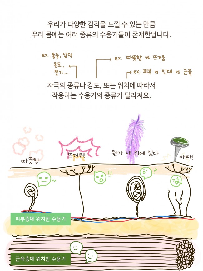 침술의 기전 1편_page-0008.jpg