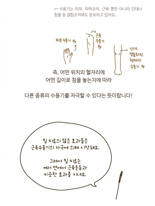 침술의 기전 1편_page-0009.jpg
