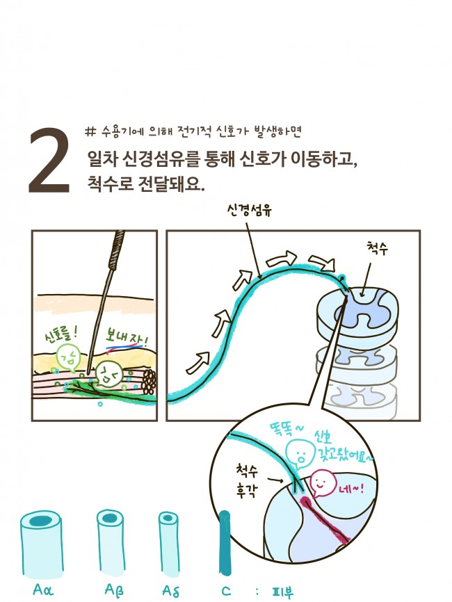 침술의 기전 1편_page-0010.jpg