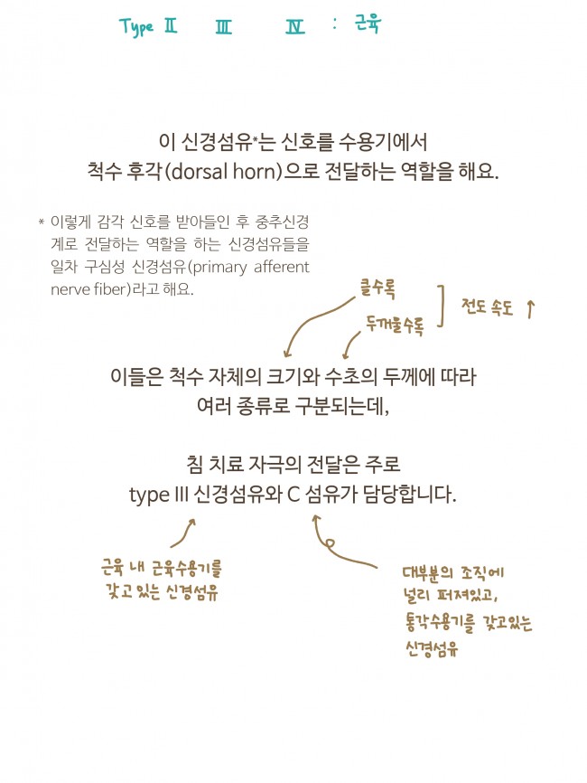 침술의 기전 1편_page-0011.jpg