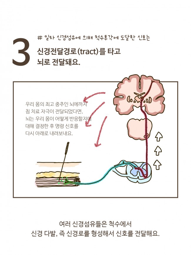 침술의 기전 1편_page-0012.jpg